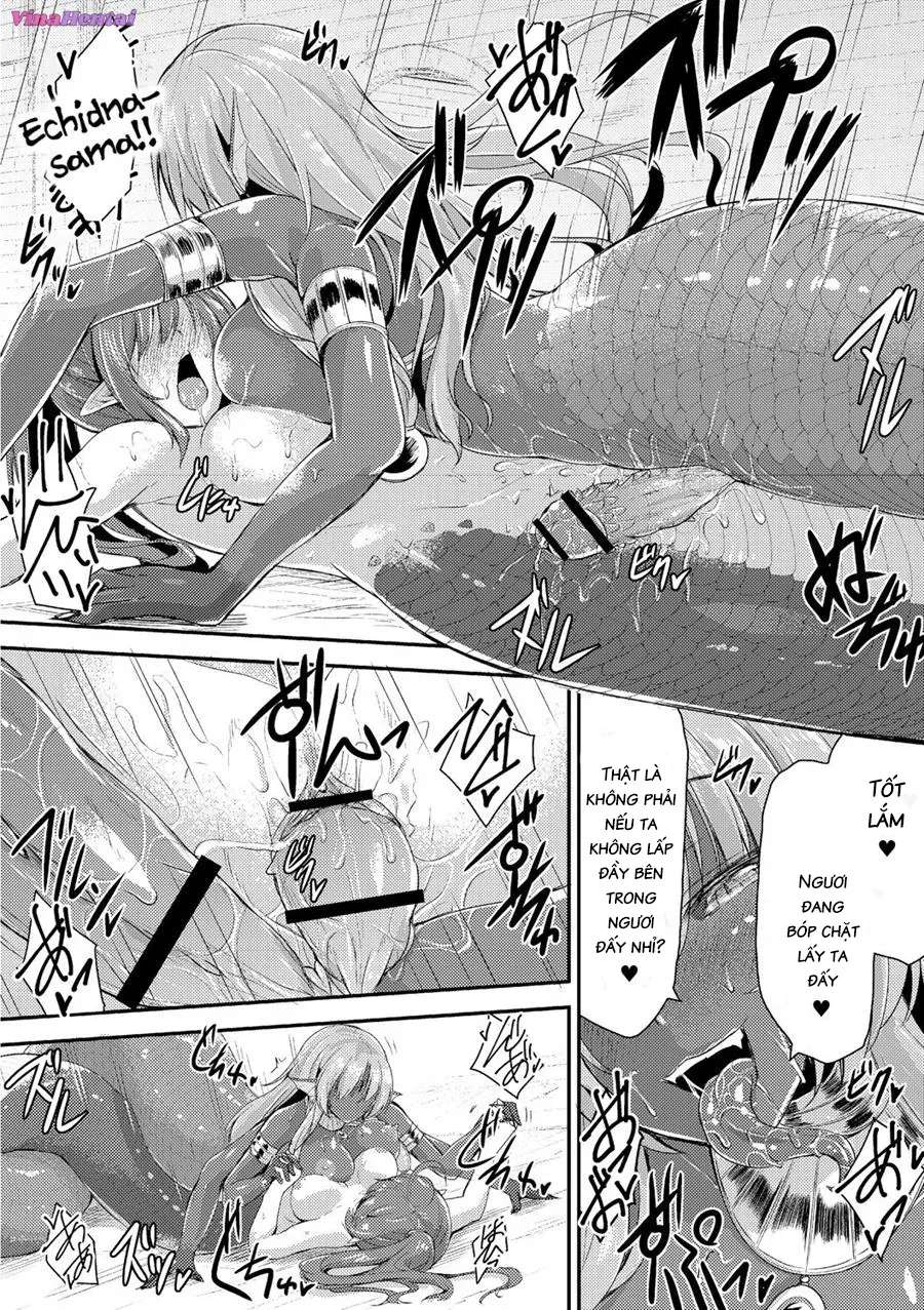 HentaiVN.net - Ảnh 19 - Echidna-sama giết thời gian [Echidna-sama is Killing Time] - Chap 2 - Bộ này hay đây