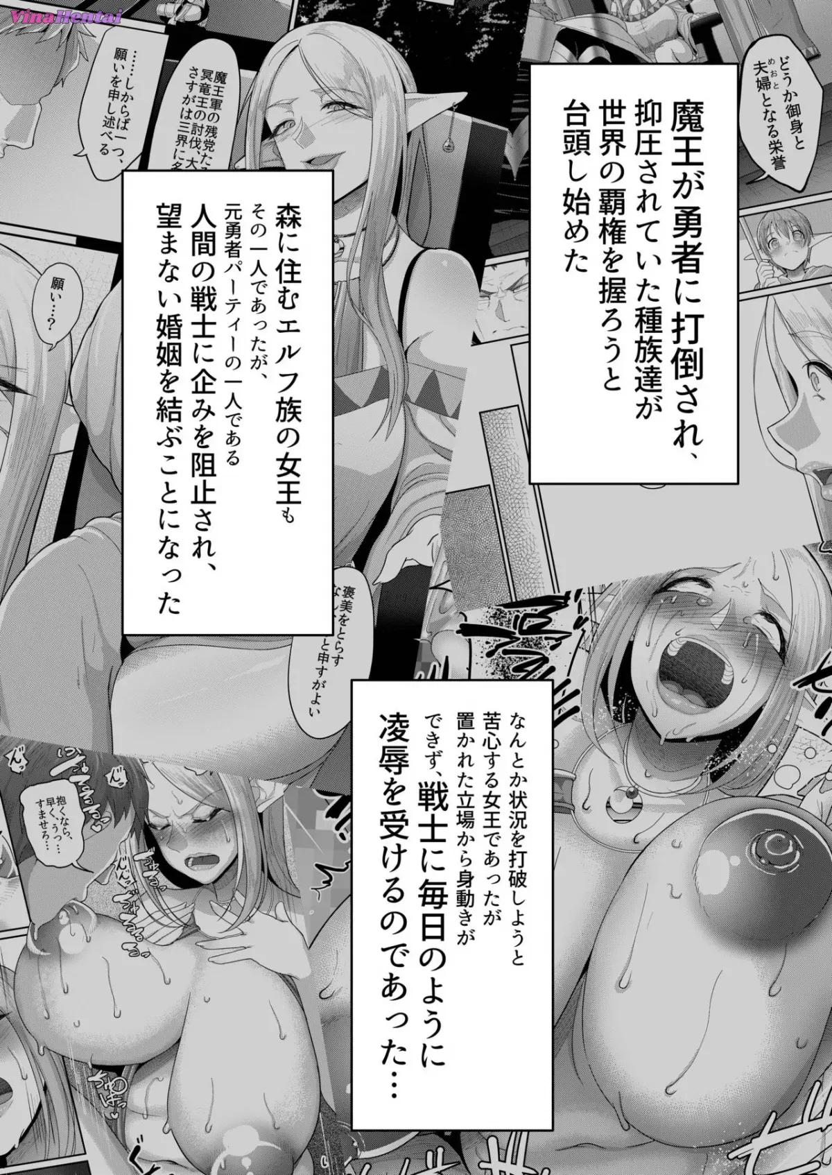 HentaiVN.net - Ảnh 5 - Takabisha Elf Kyousei Konin - Chap 2