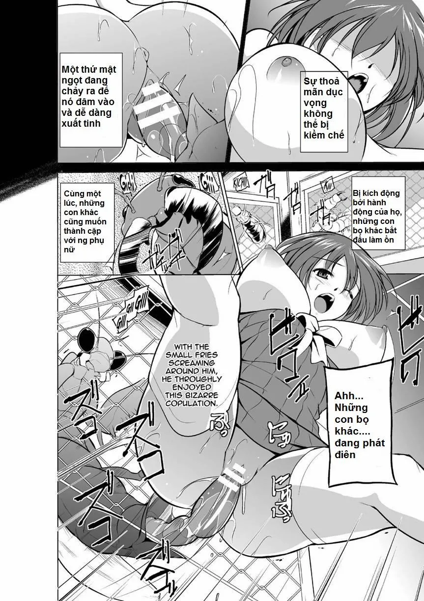 HentaiVN.net - Ảnh 13 - Mushi Yuugi - Chương 2