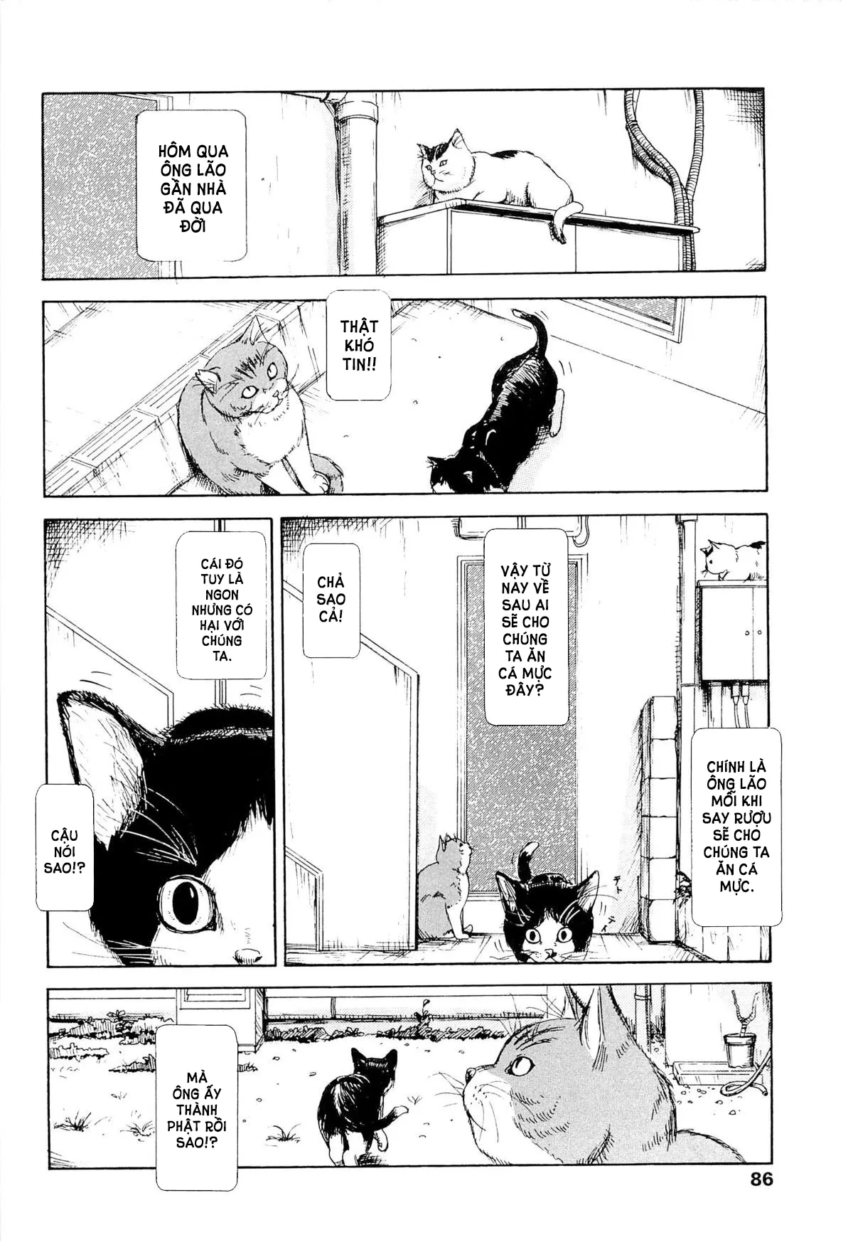 HentaiVN.net - Ảnh 4 - Kaineko [飼いね子] - Chap 5