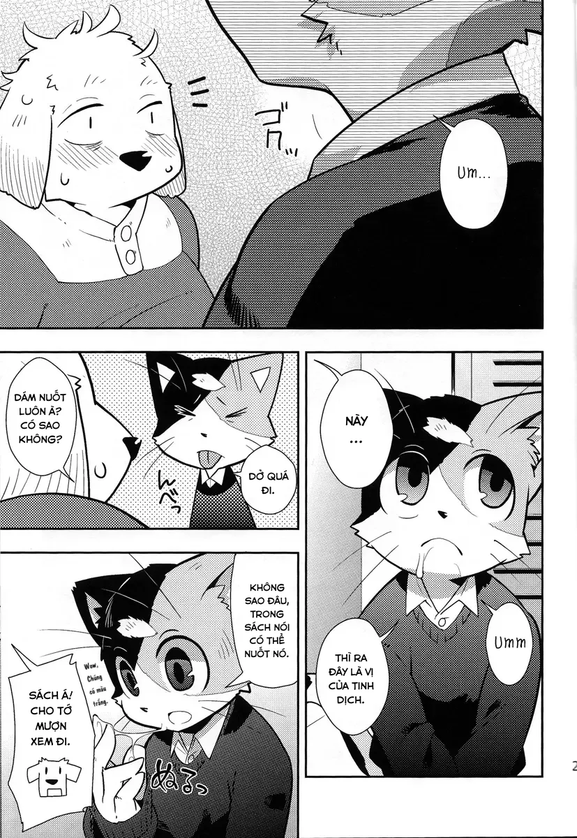 HentaiVN.net - Ảnh 20 - Harubon 9 - Oneshot