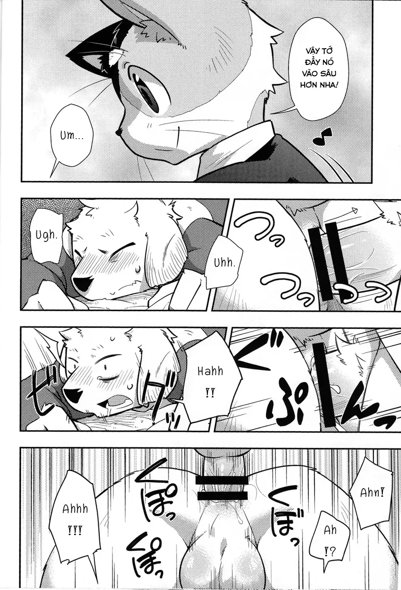 HentaiVN.net - Ảnh 27 - Harubon 9 - Oneshot