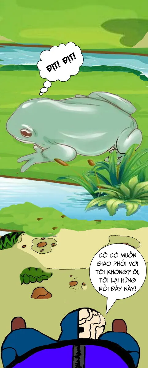 HentaiVN.net - Ảnh 3 - Tuyển Tập Sỏi Thận [Pasiphae; The Frog And Ox; Ms Frog] - [Undefined] Mùa sinh sản của cô Ếch
