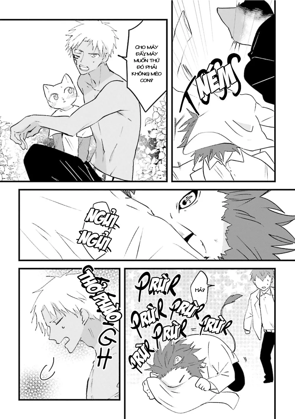HentaiVN.net - Ảnh 12 - Trai và Mèo [Kokou kemono to obaka yankee] - Chap 4
