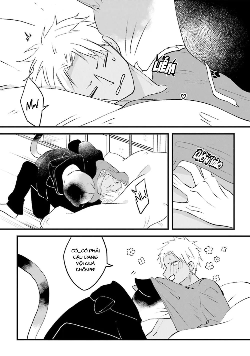 HentaiVN.net - Ảnh 27 - Trai và Mèo [Kokou kemono to obaka yankee] - Chap 4