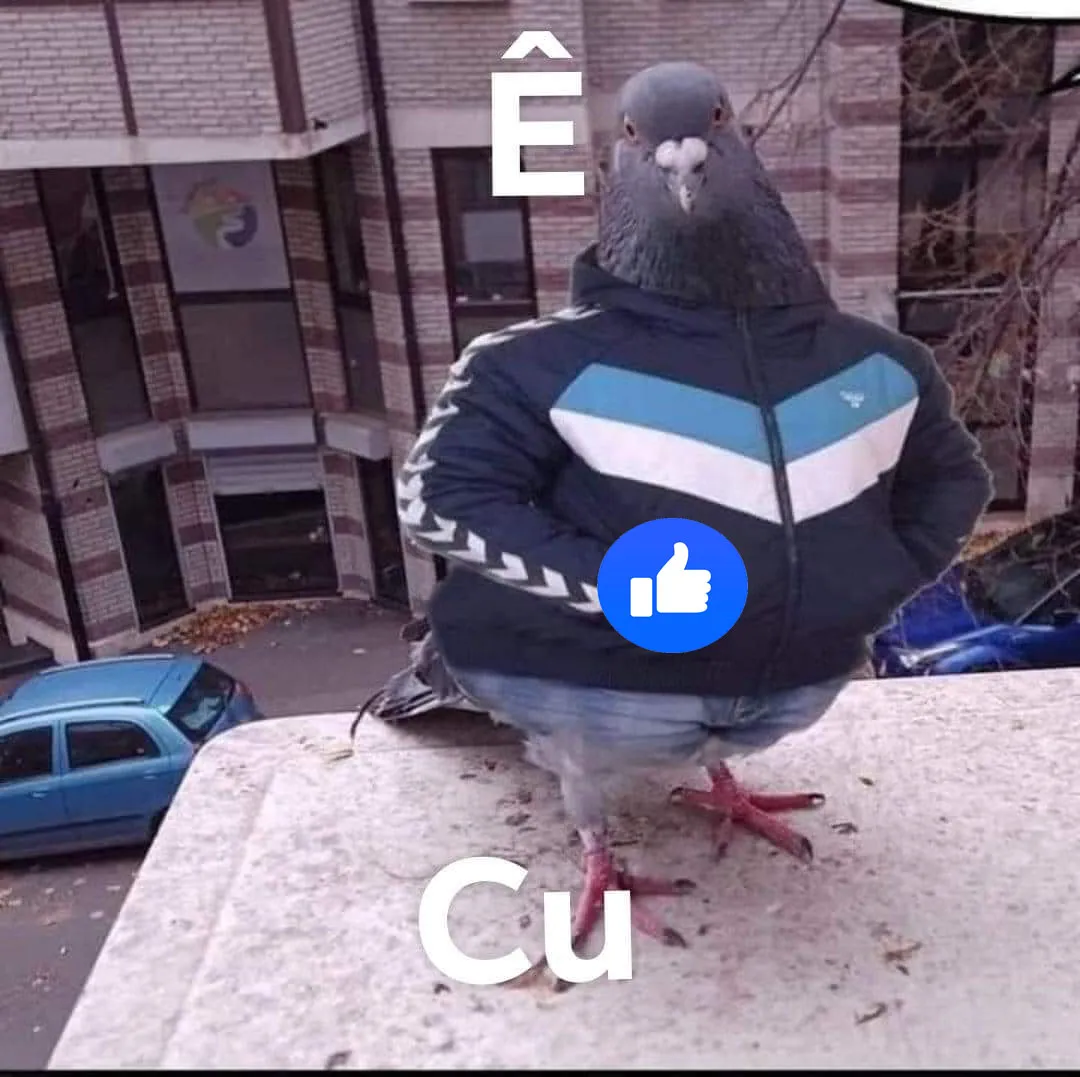 HentaiVN.net - Ảnh 7 - Genshin Impact NTR - Kujou Sara - 1 shot