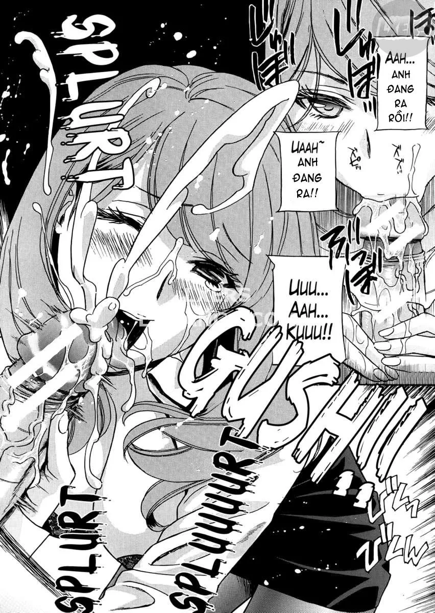 HentaiVN.net - Ảnh 15 - Kurikyun 5! - Chap 4
