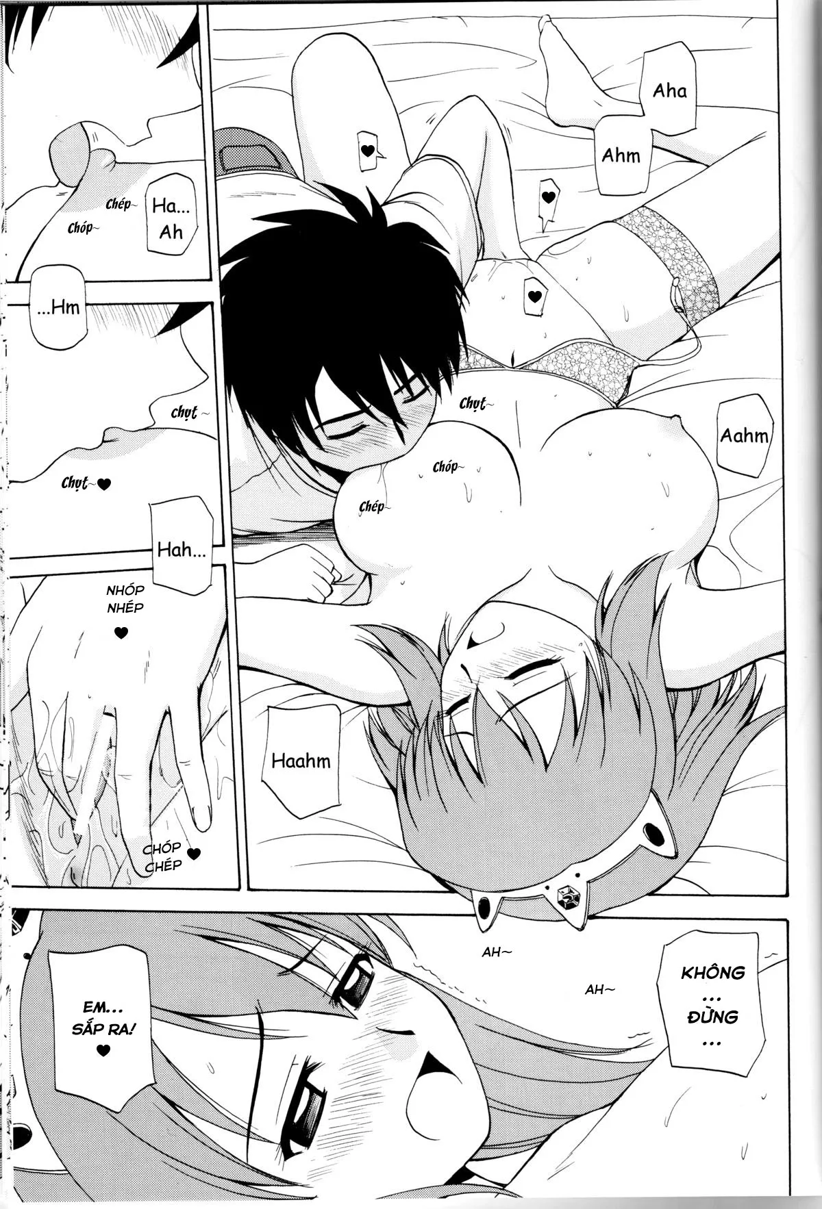 HentaiVN.net - Ảnh 6 - Le Beau Maitre (Zero no Tsukaima) [Zero no tsukaima; Zero No Tsukaima; Zero no Tsukaima] - Chap 5 - Bị nữ hoàng tra tấn