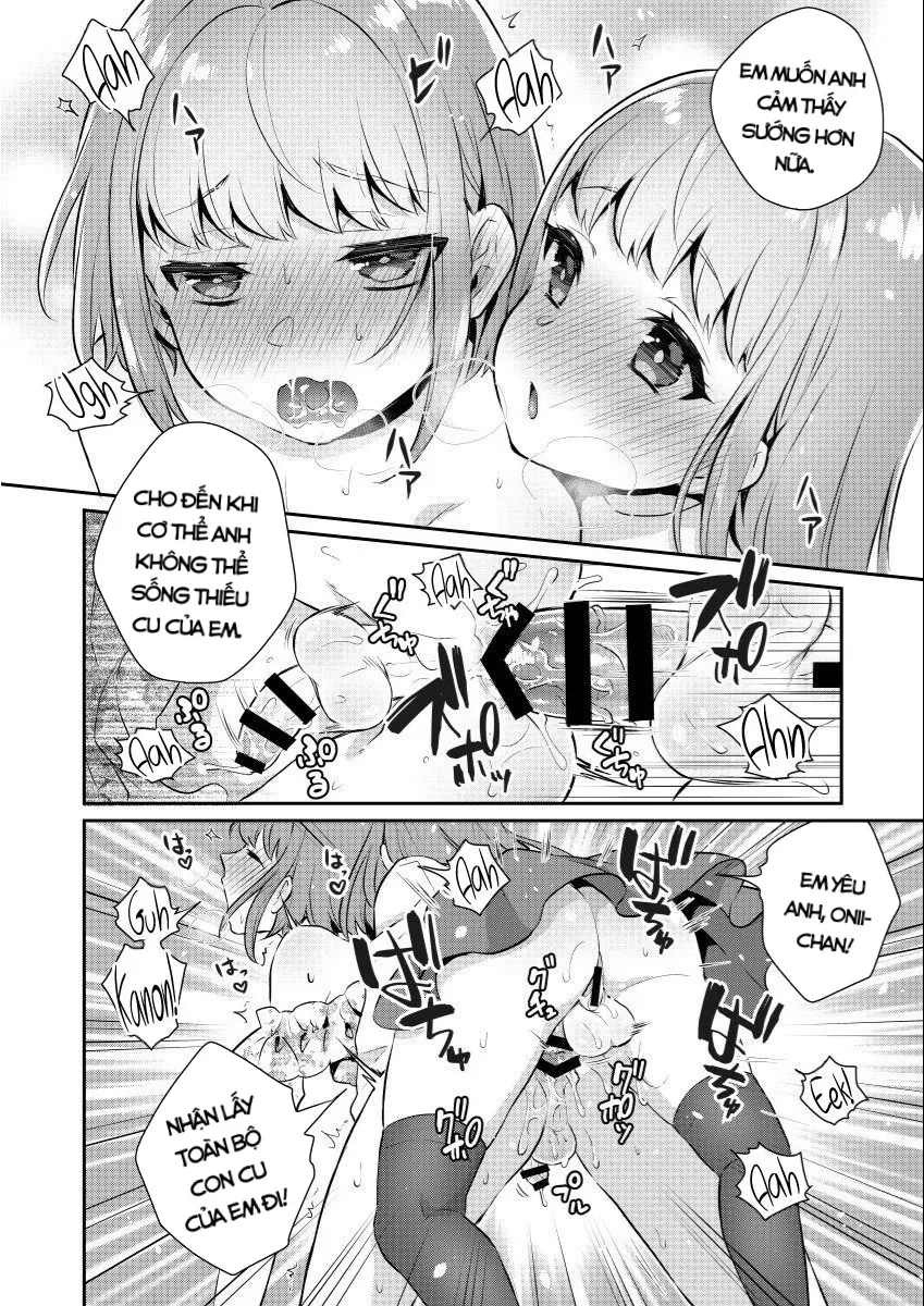 HentaiVN.net - Ảnh 14 - Okkii Imouto Chicchai Ani [Okkii Imouto Chicchai Ani ; おっきい妹ちっちゃい兄] - Oneshot