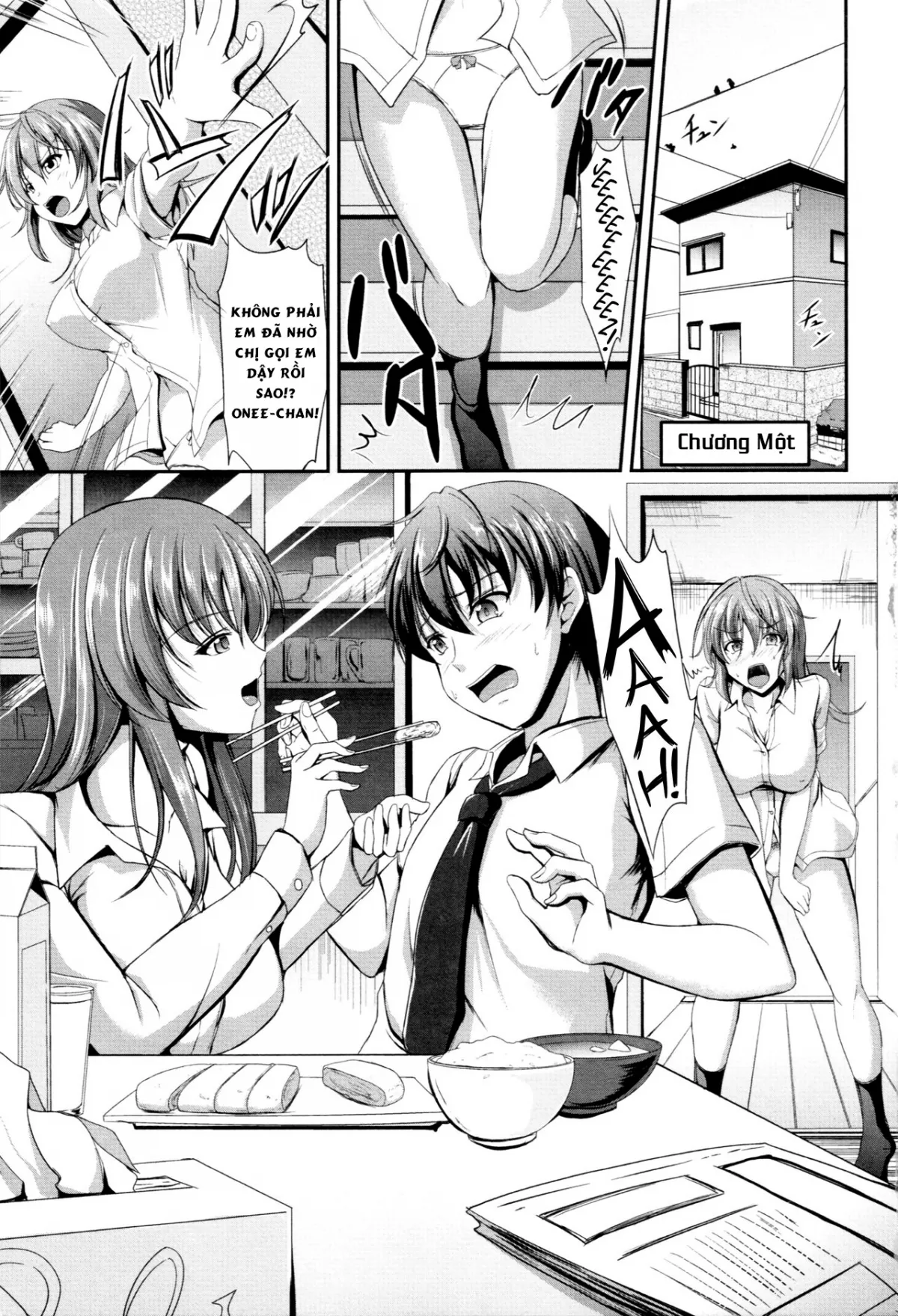 HentaiVN.net - Ảnh 5 - Sisters Sandwich - Chap 1