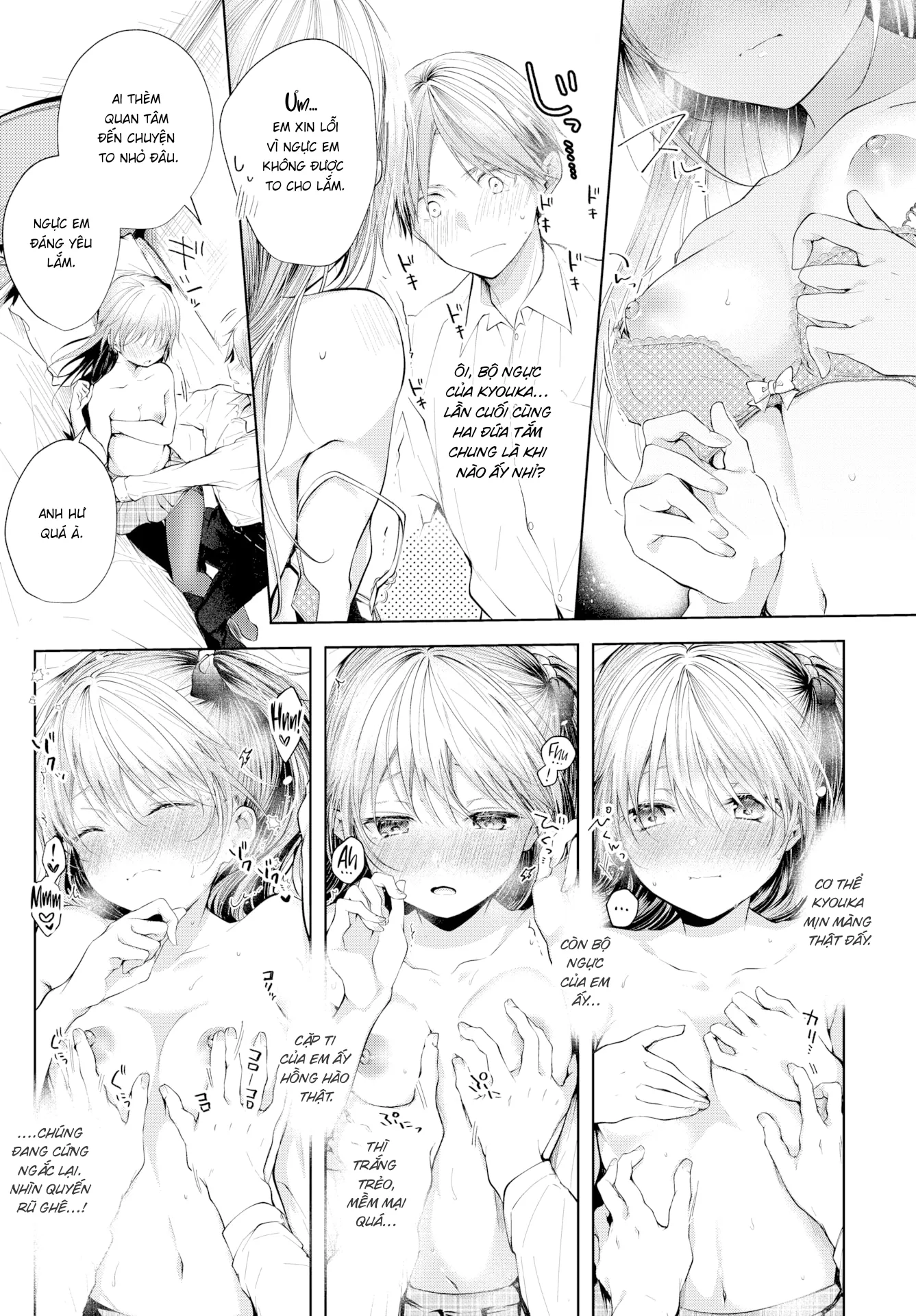 HentaiVN.net - Ảnh 13 - Em Gái [Sister] - Chap 2: Quá khứ