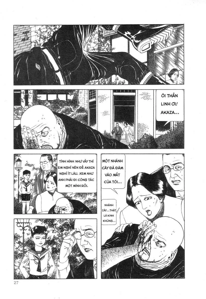 HentaiVN.net - Ảnh 11 - Tuyển tập kinh dị của Suehiro Maruo - Bông hồng nhuốm màu quỷ dữ [Rose Colored Monster] - Chap 3: Thói quen của người đàn ông tầng lớp hạ lưu