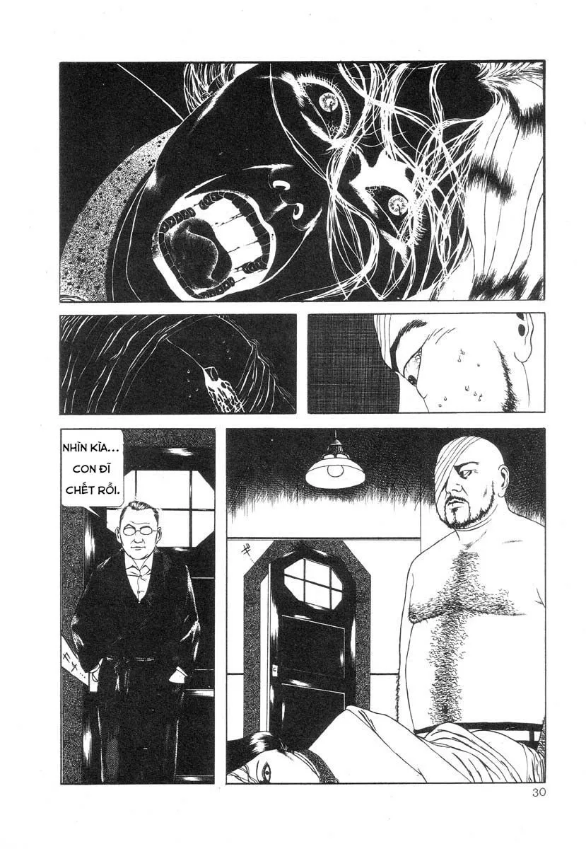 HentaiVN.net - Ảnh 14 - Tuyển tập kinh dị của Suehiro Maruo - Bông hồng nhuốm màu quỷ dữ [Rose Colored Monster] - Chap 3: Thói quen của người đàn ông tầng lớp hạ lưu