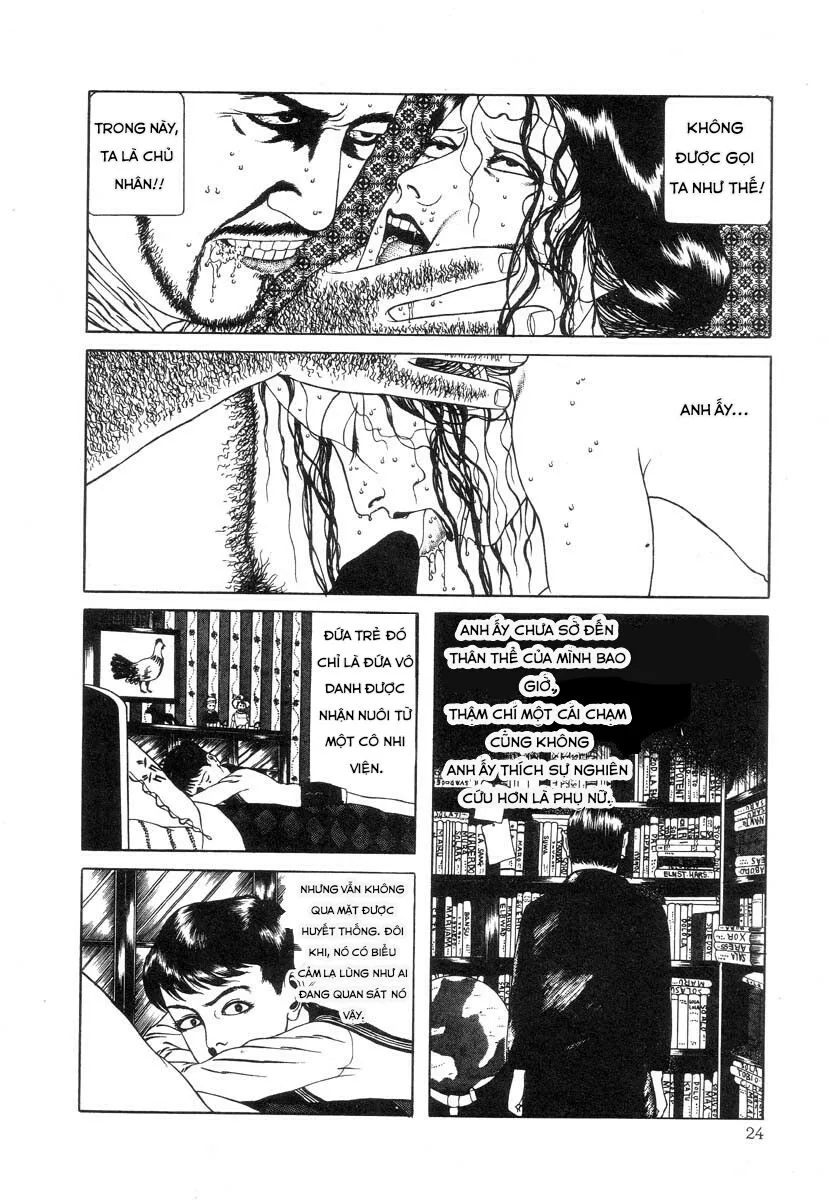 HentaiVN.net - Ảnh 8 - Tuyển tập kinh dị của Suehiro Maruo - Bông hồng nhuốm màu quỷ dữ [Rose Colored Monster] - Chap 3: Thói quen của người đàn ông tầng lớp hạ lưu