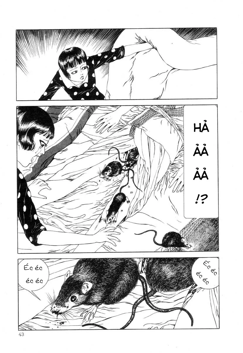 HentaiVN.net - Ảnh 9 - Tuyển tập kinh dị của Suehiro Maruo - Bông hồng nhuốm màu quỷ dữ [Rose Colored Monster] - Chap 4: Câu chuyện buồn và bí mật của cô gái Camelia