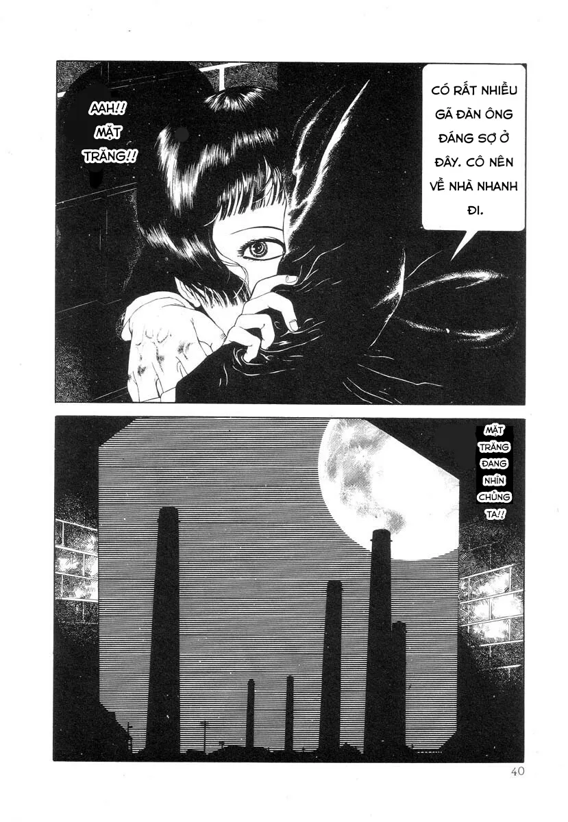 HentaiVN.net - Ảnh 6 - Tuyển tập kinh dị của Suehiro Maruo - Bông hồng nhuốm màu quỷ dữ [Rose Colored Monster] - Chap 4: Câu chuyện buồn và bí mật của cô gái Camelia