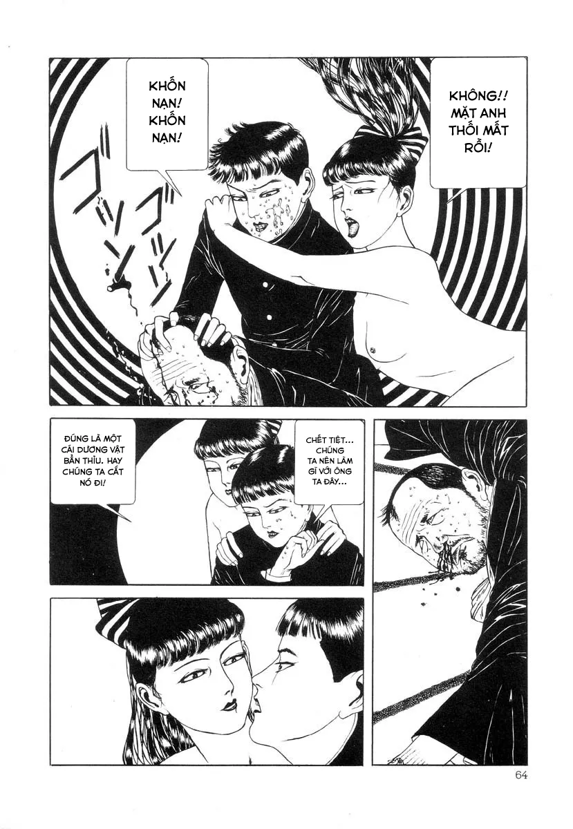 HentaiVN.net - Ảnh 12 - Tuyển tập kinh dị của Suehiro Maruo - Bông hồng nhuốm màu quỷ dữ [Rose Colored Monster] - Chap 5: Sự tiếp xúc giữa đôi mắt hai ta