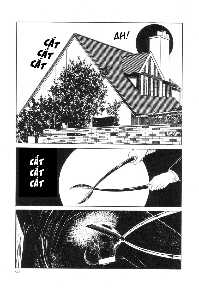 HentaiVN.net - Ảnh 13 - Tuyển tập kinh dị của Suehiro Maruo - Bông hồng nhuốm màu quỷ dữ [Rose Colored Monster] - Chap 5: Sự tiếp xúc giữa đôi mắt hai ta