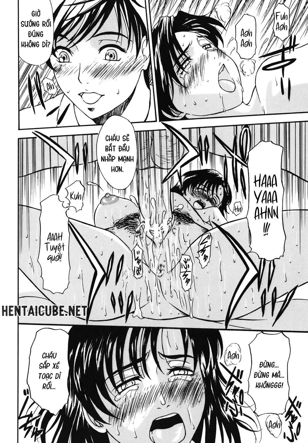 HentaiVN.net - Ảnh 11 - Mẹ và dì - Bộ đôi biến thái [Aioi no Shukujo; Double Perverts] - Chap 1
