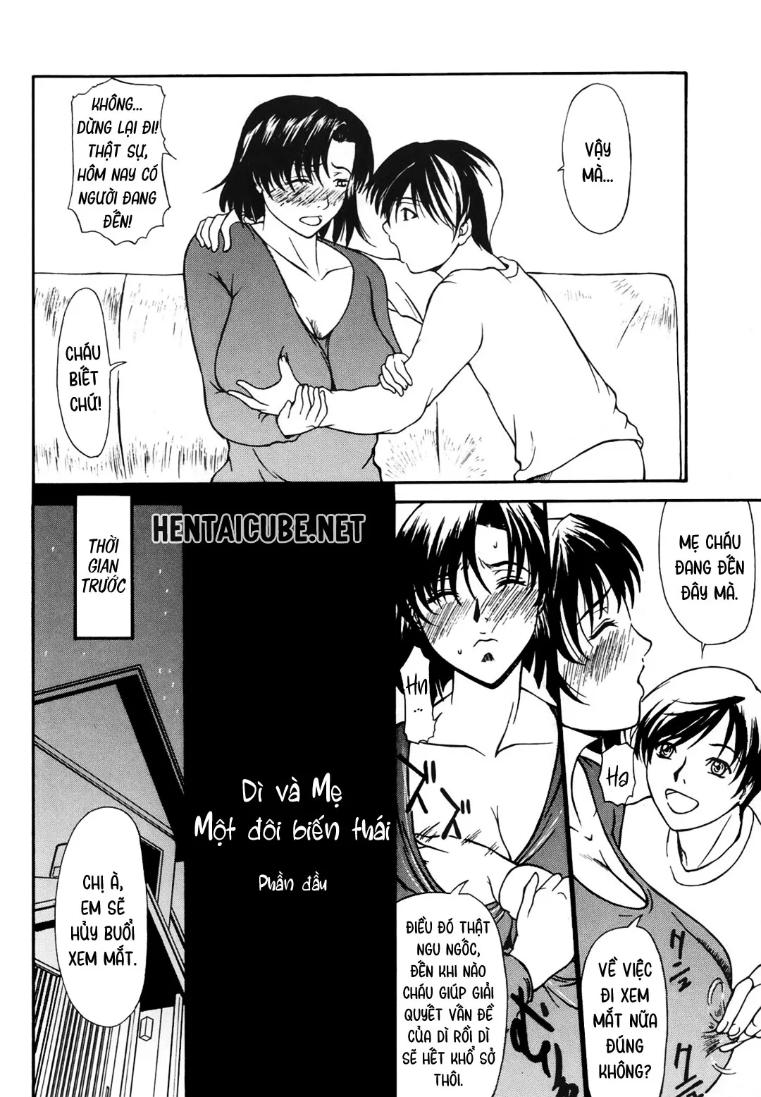 HentaiVN.net - Ảnh 3 - Mẹ và dì - Bộ đôi biến thái [Aioi no Shukujo; Double Perverts] - Chap 1