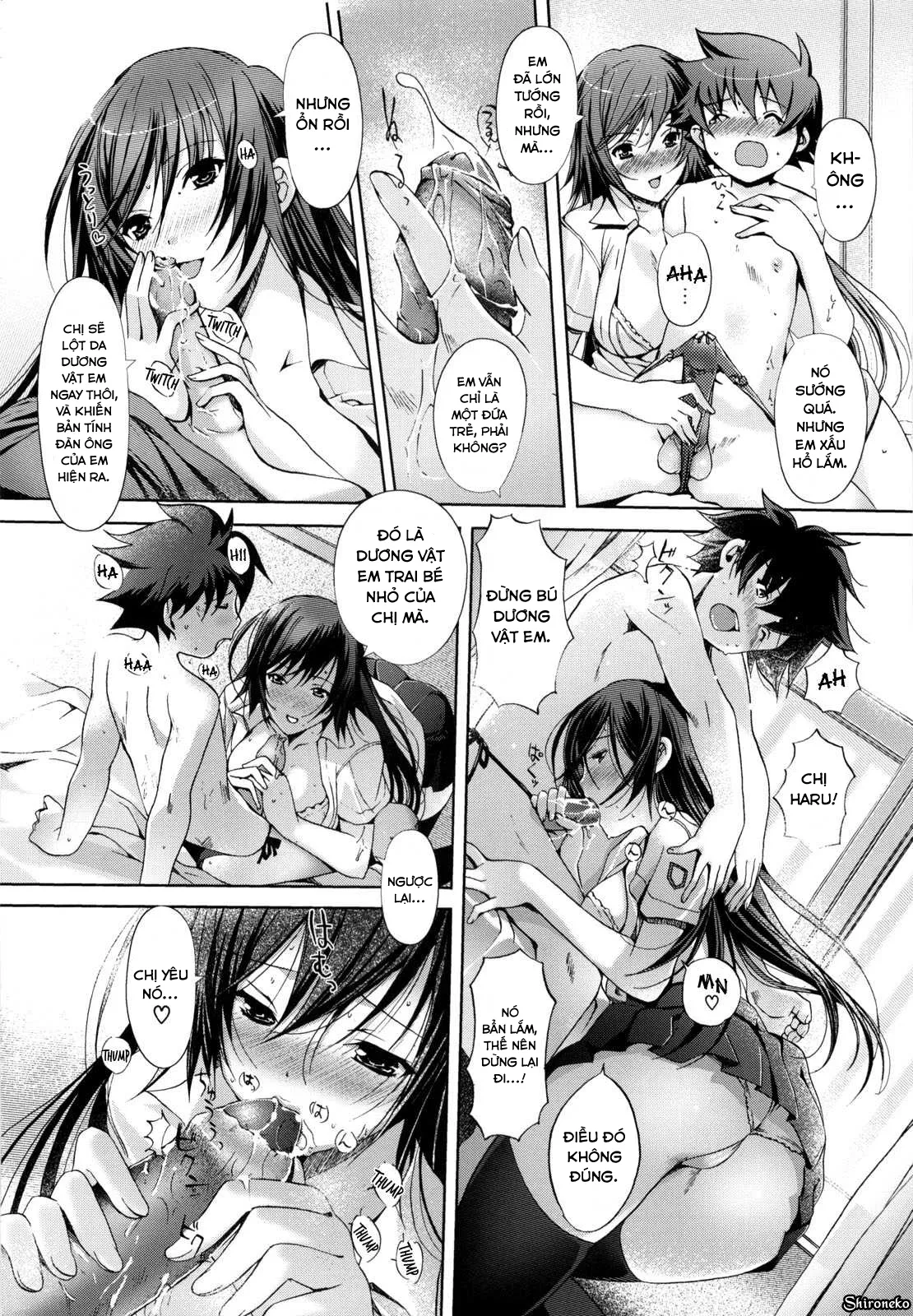 HentaiVN.net - Ảnh 9 - Mind of Sisters - Chap 8 - End