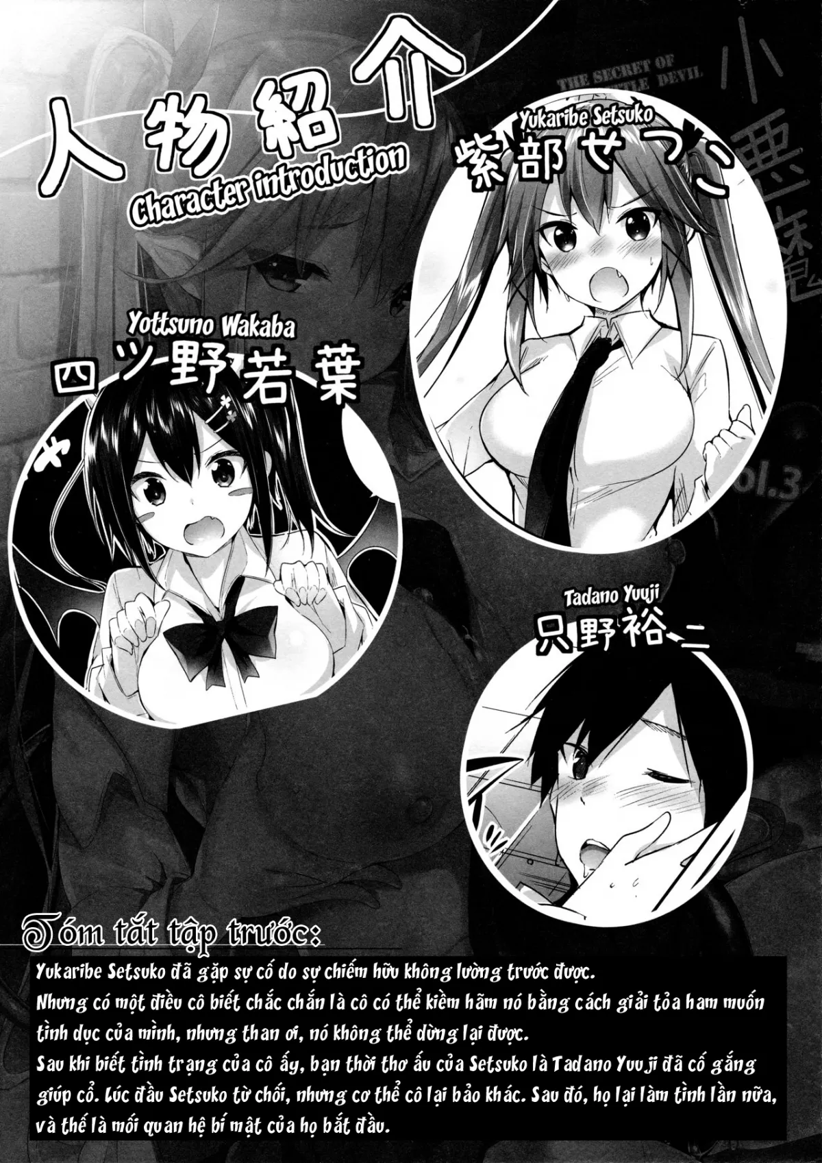 HentaiVN.net - Ảnh 3 - Koakuma Setsuko no Himitsu [小悪魔せつこの秘密] - Chap 3