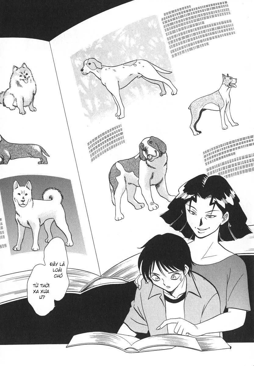 HentaiVN.net - Ảnh 4 - Oh! My DOG - Chap 5