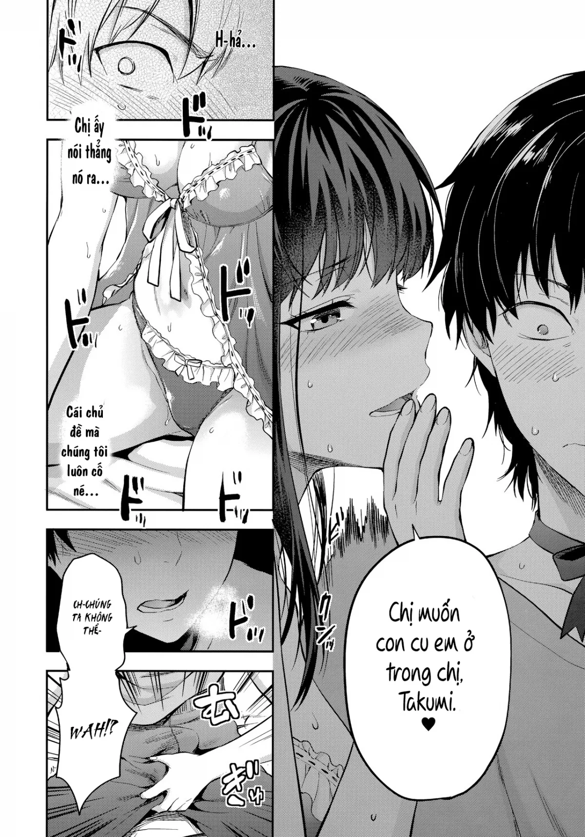 HentaiVN.net - Ảnh 4 - Chị em sinh đôi [Twin Sisters; Futago Ane] - Chap 4