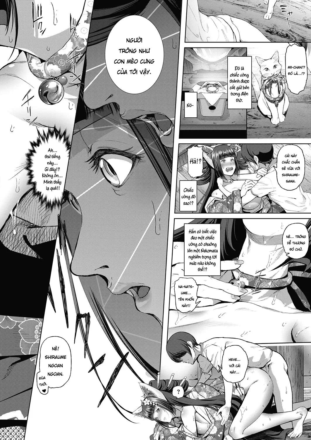 HentaiVN.net - Ảnh 24 - Boy Meets Nyaa God [Boy Meets Cat Goddess] - Chap 1