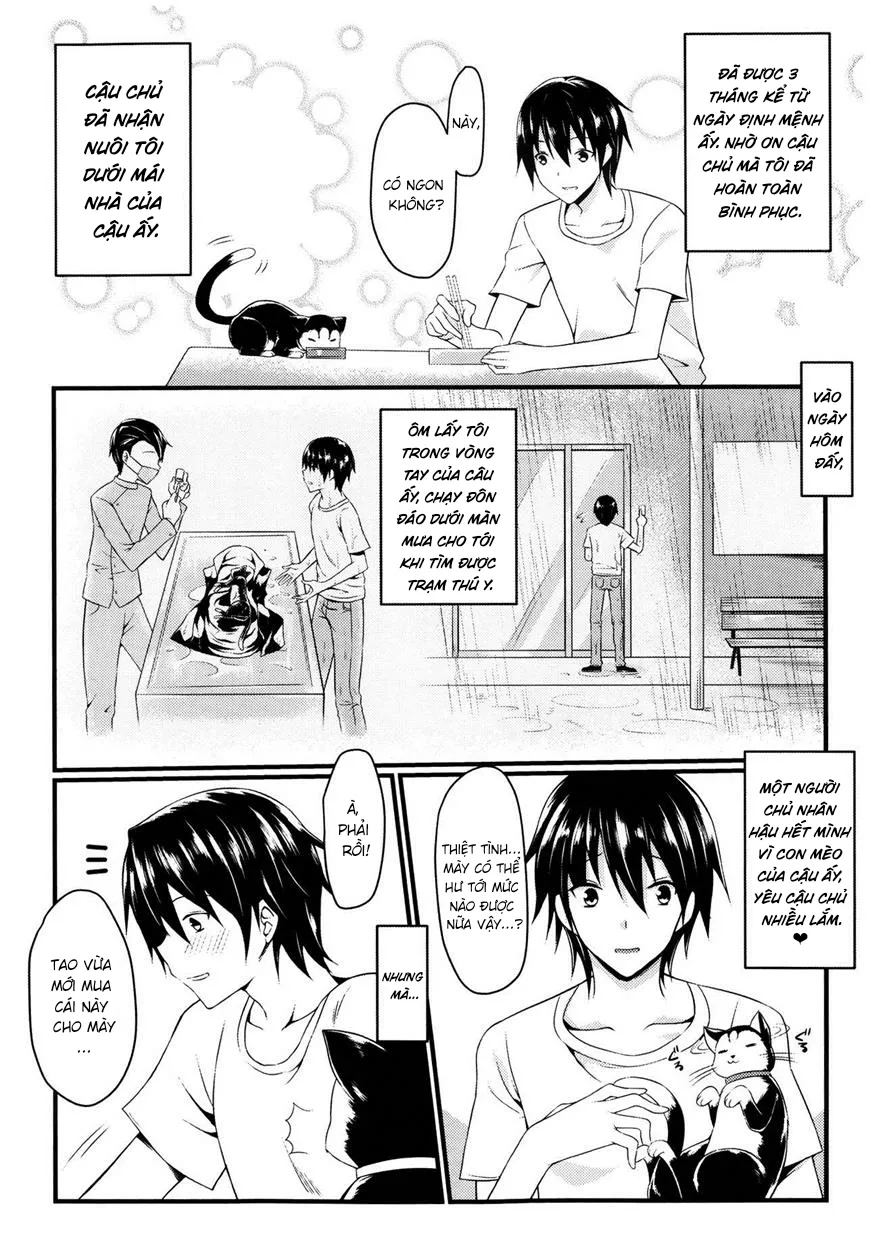 HentaiVN.net - Ảnh 5 - Neko to Anata no Monogatari - Oneshot