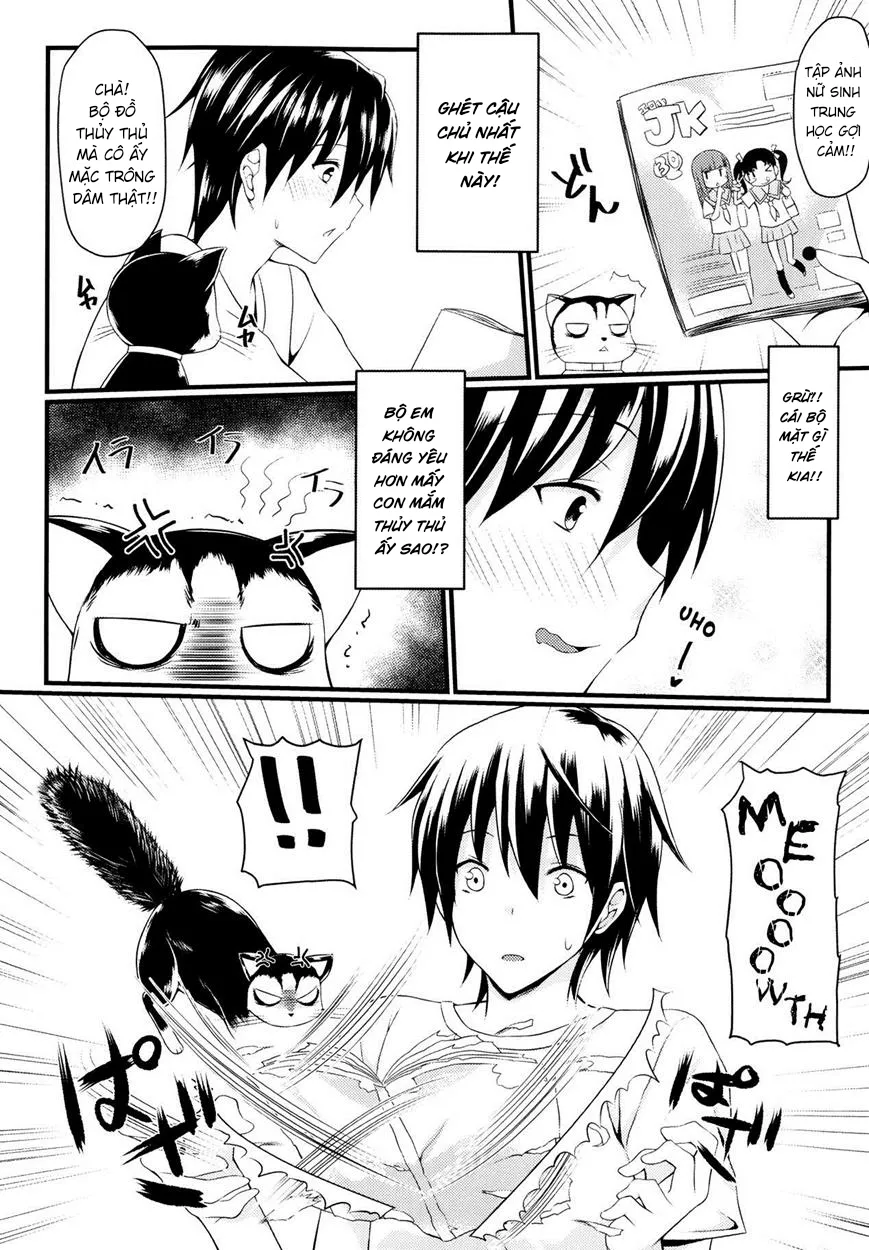 HentaiVN.net - Ảnh 6 - Neko to Anata no Monogatari - Oneshot