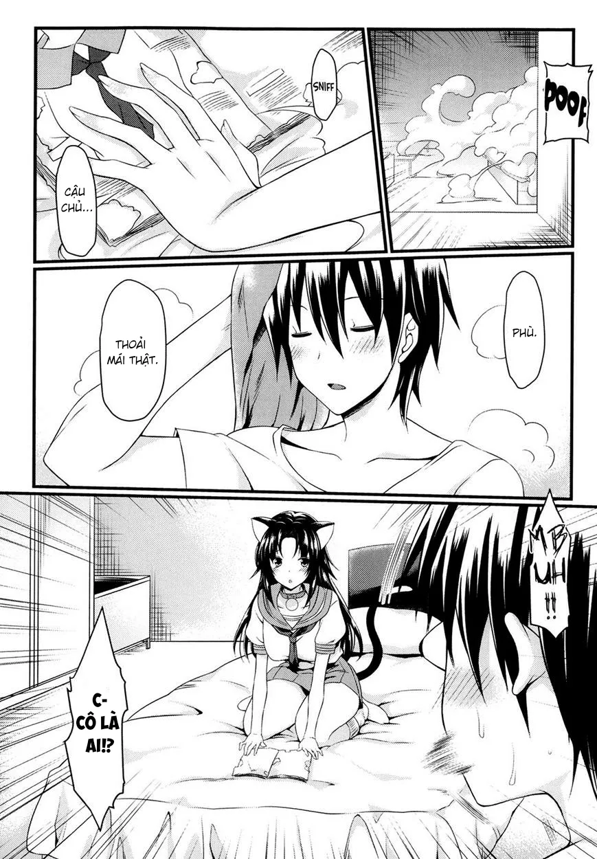 HentaiVN.net - Ảnh 8 - Neko to Anata no Monogatari - Oneshot