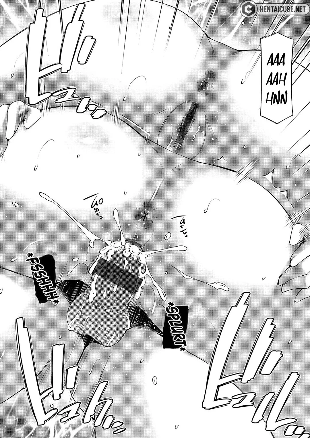 HentaiVN.net - Ảnh 25 - Nee-chan to Chome Chome - Chap 3