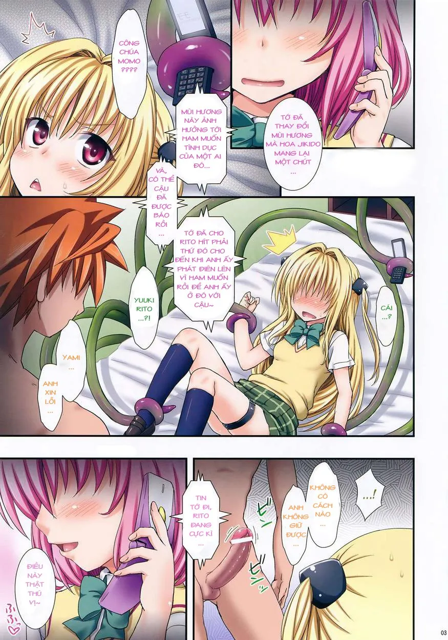 HentaiVN.net - Ảnh 3 - Ecchi no wa kirai desuka? (To Love-Ru Darkness) [Don't You Like Doing Lewd Stuff?] - Oneshot