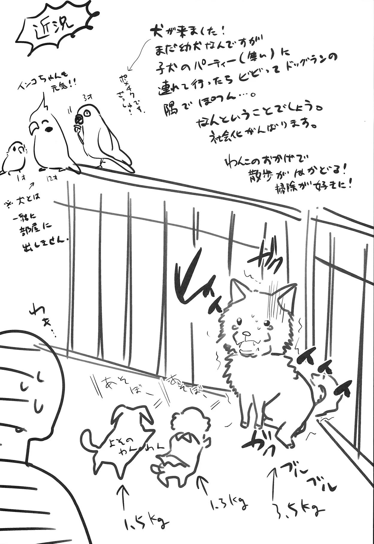 HentaiVN.net - Ảnh 23 - Match Uri no Otokonoko to Kime-seku! [Let's Drug And Fuck The Little Match Trap!; Truyện chưa kể về cô bé bán diêm] - Oneshot