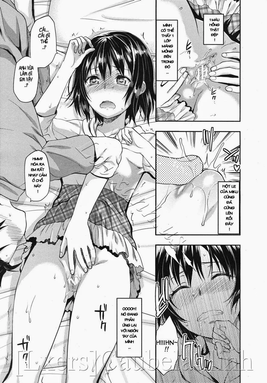 HentaiVN.net - Ảnh 22 - Little Sister Lip - Oneshot