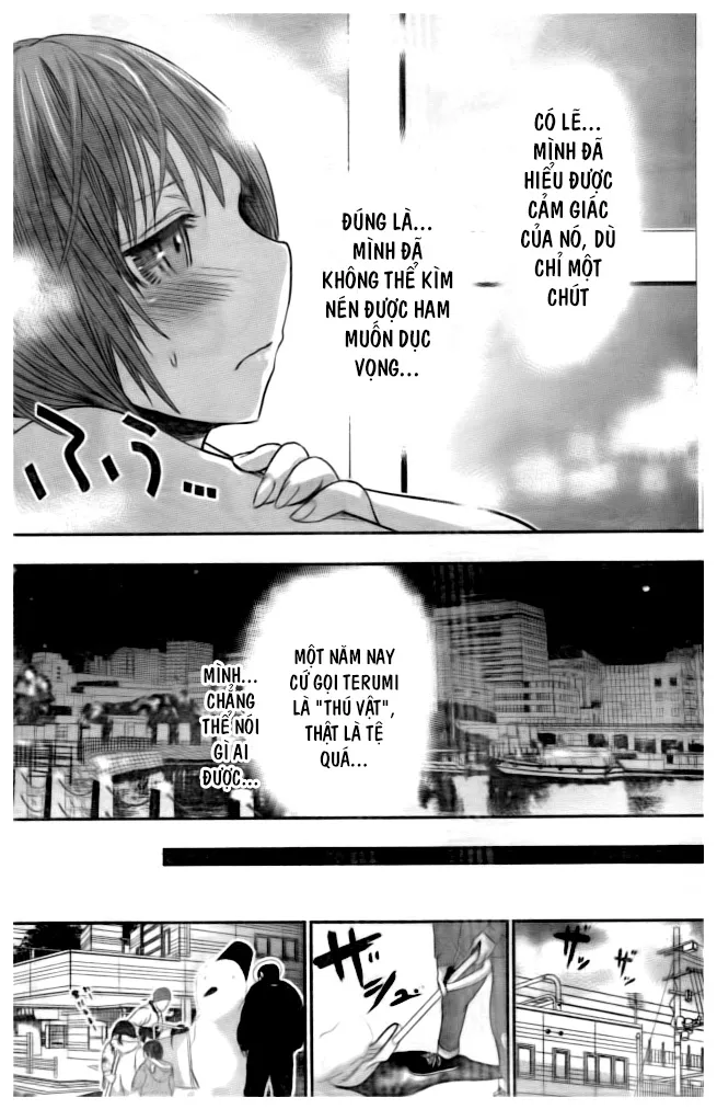 HentaiVN.net - Ảnh 4 - Chuyện chàng Minamoto [Minamoto-kun Monogatari; Minamoto-kun's Story; 源君物語] - Chap 281
