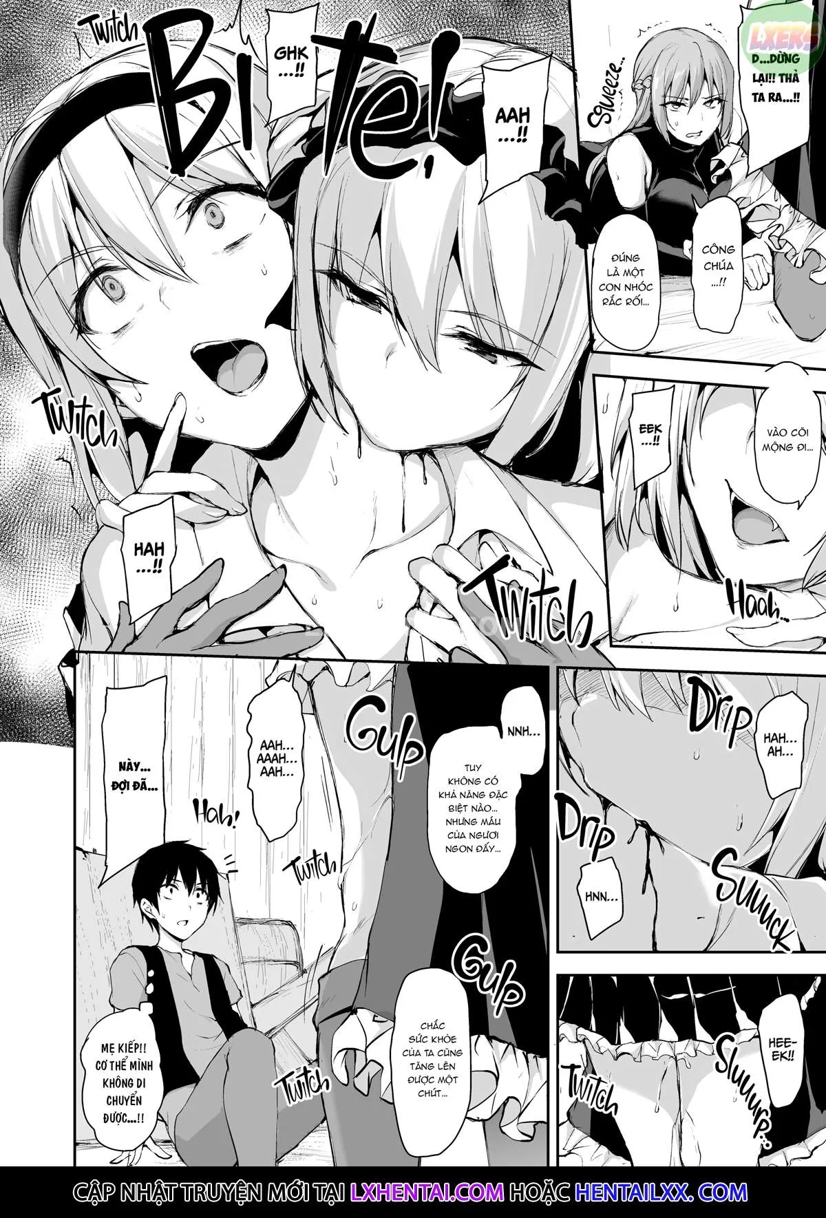 HentaiVN.net - Ảnh 25 - Tales of a Harem in Another World - Chap 7 - Clash! The Vampire Girl Vs. The Haughty Princess