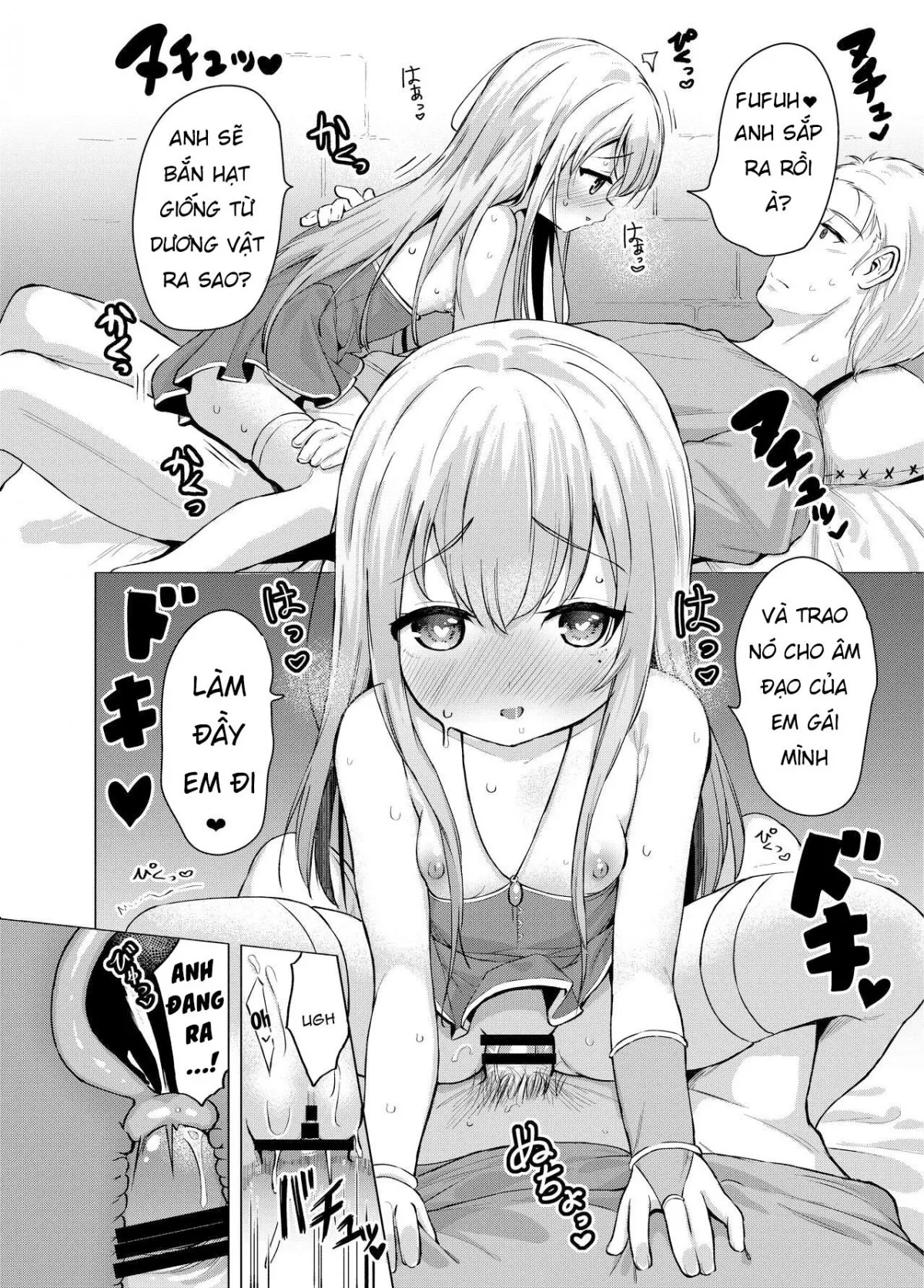 HentaiVN.net - Ảnh 20 - Sei to Sei-na Imouto to. [My Sacred and Sexual Sister ; Sei to Sei-na Imouto to.] - Oneshot