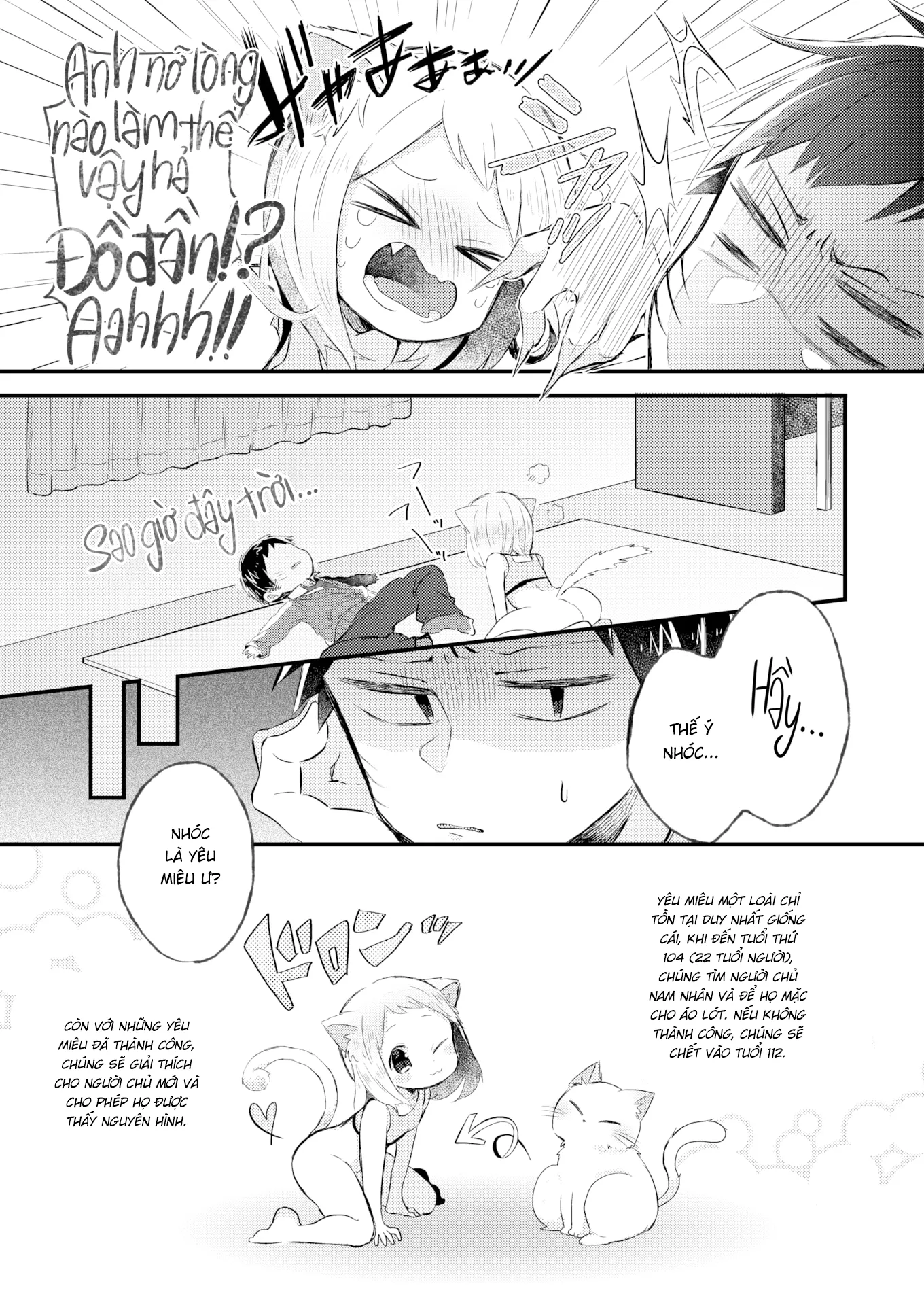 HentaiVN.net - Ảnh 5 - Yêu Miêu [What's the Myatter With You!?] - Oneshot