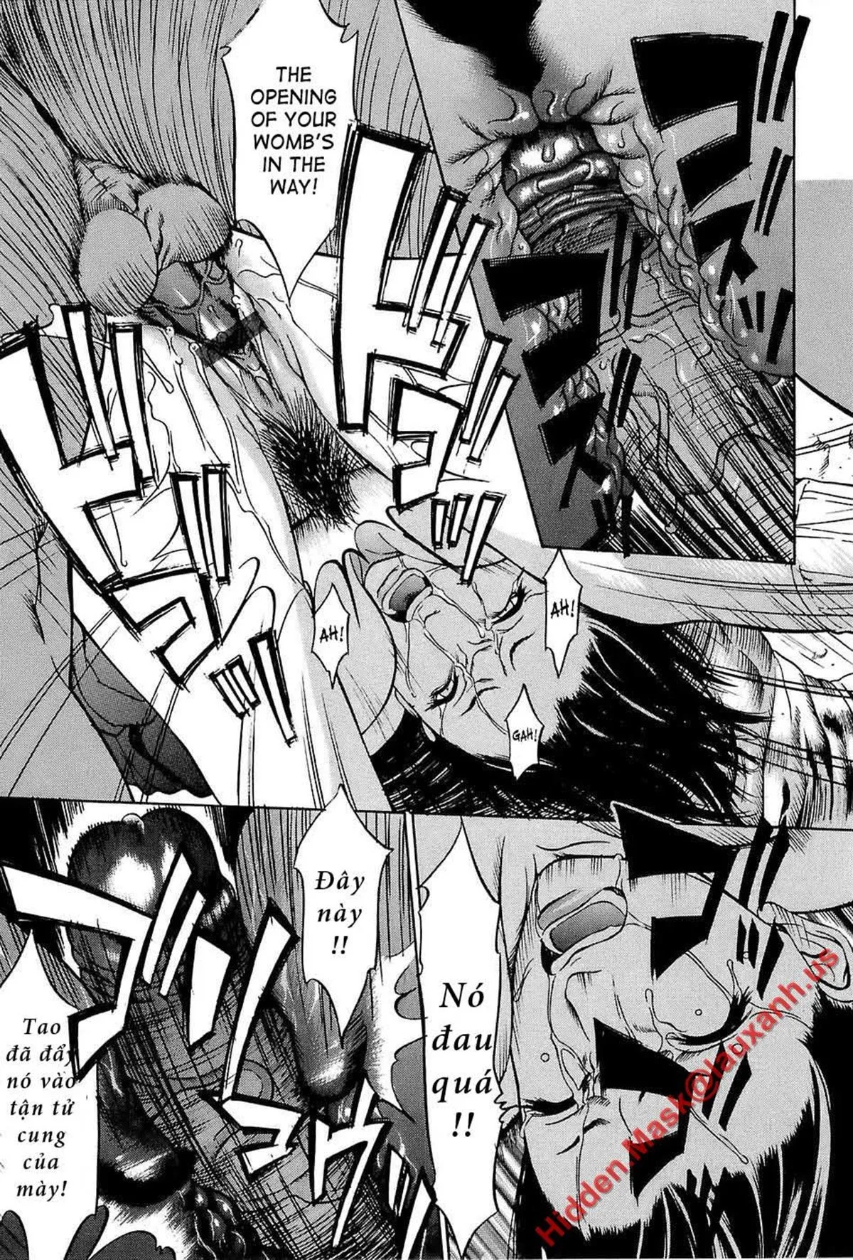 HentaiVN.net - Ảnh 17 - Kyokugen Gangu - Chap 1
