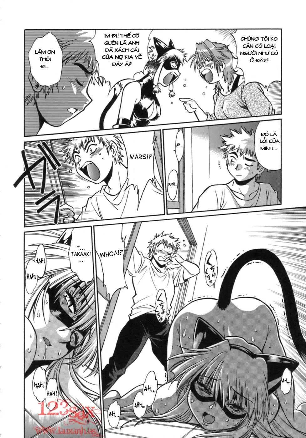 HentaiVN.net - Ảnh 14 - Tail Chaser - Chap 7 - END