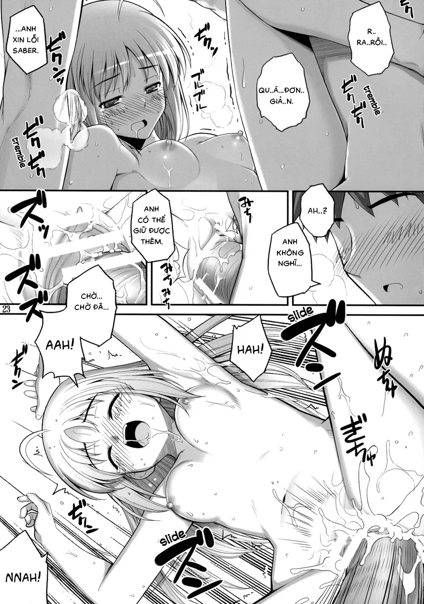 HentaiVN.net - Ảnh 18 - RE 10 (Fate/stay night) [(C75) [RUBBISH選別隊 (無望菜志)] RE10 (Fate/stay night)] - Oneshot
