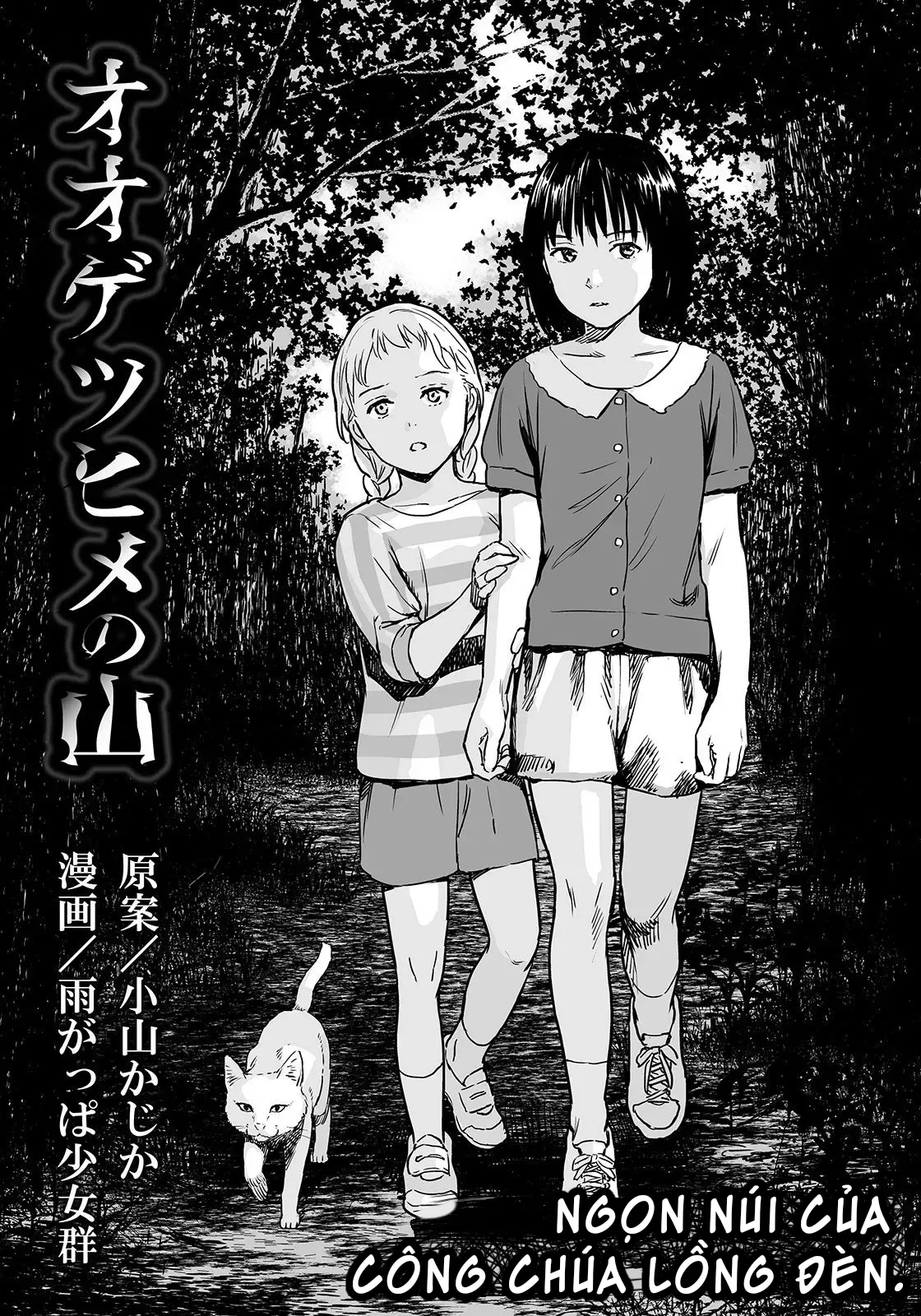 HentaiVN.net - Ảnh 4 - Câu chuyện về ngọn núi của công chùa lồng đèn. [The Mountain Of Amputee Princesses] - Oneshit