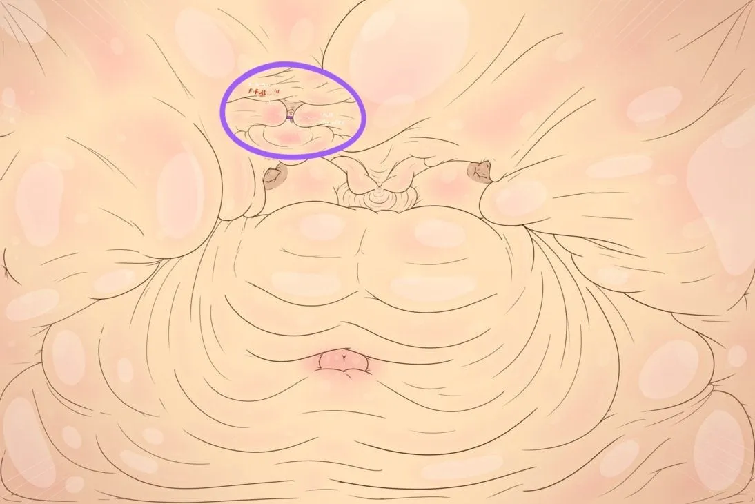 HentaiVN.net - Ảnh 14 - Ăn Mặn Collection - Chap 1 NEKO WEIGHT GAIN (Extreme)