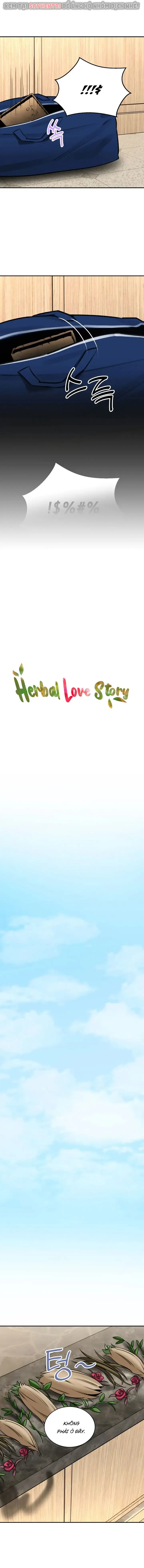 HentaiVN.net - Ảnh 3 - Thảo Dược Mê Tình - Chap 11