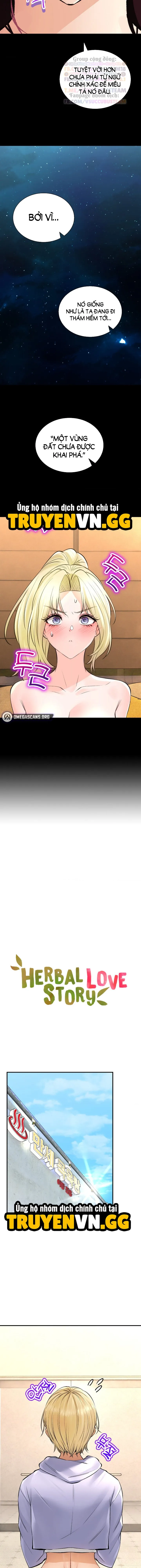 HentaiVN.net - Ảnh 3 - Thảo Dược Mê Tình - Chap 44
