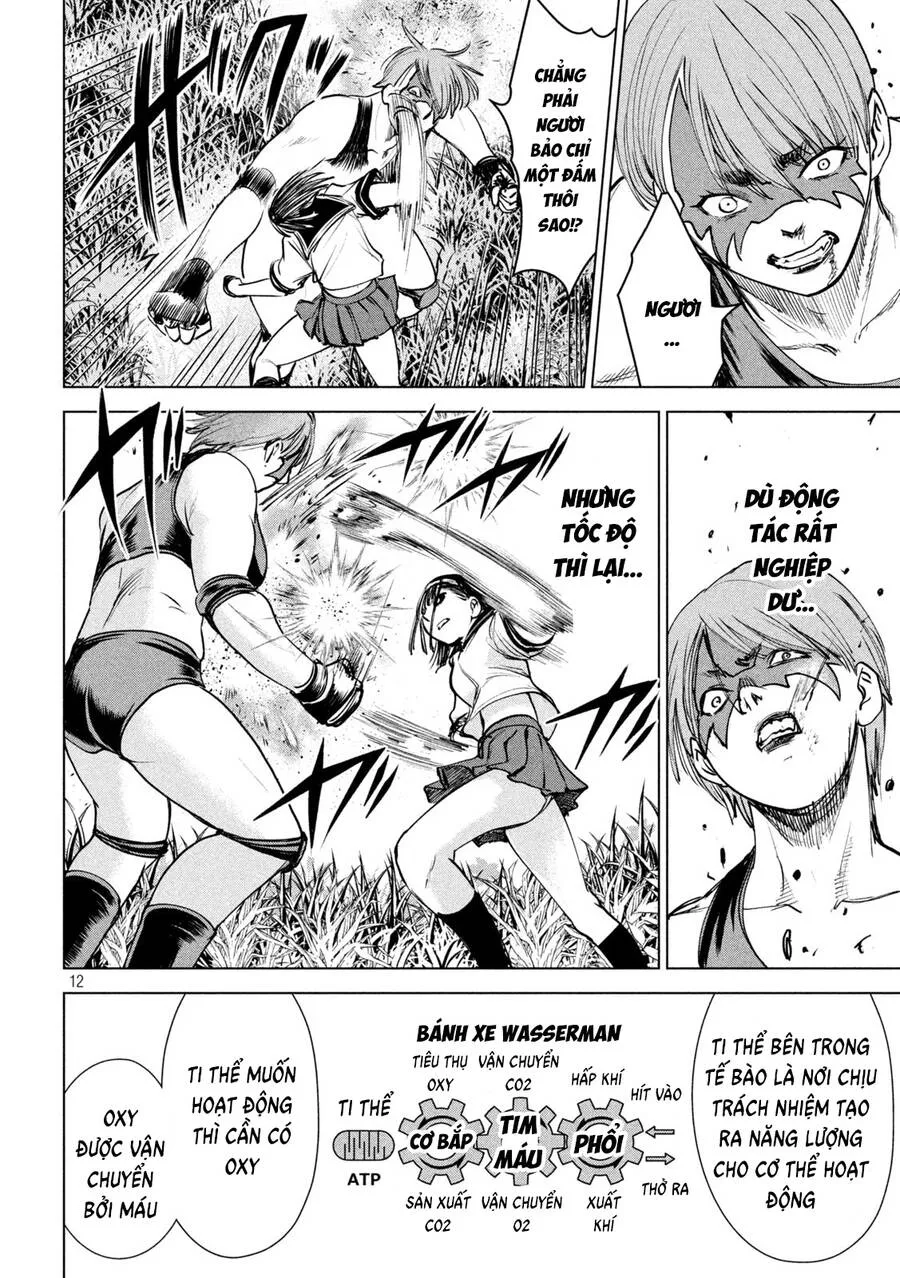 HentaiVN.net - Ảnh 14 - Satanophany - Chap 244