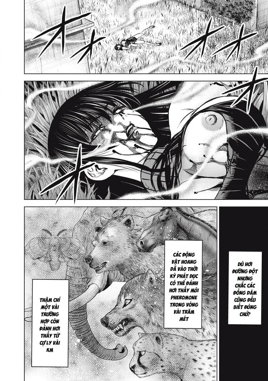 HentaiVN.net - Ảnh 17 - Satanophany - Chap 251