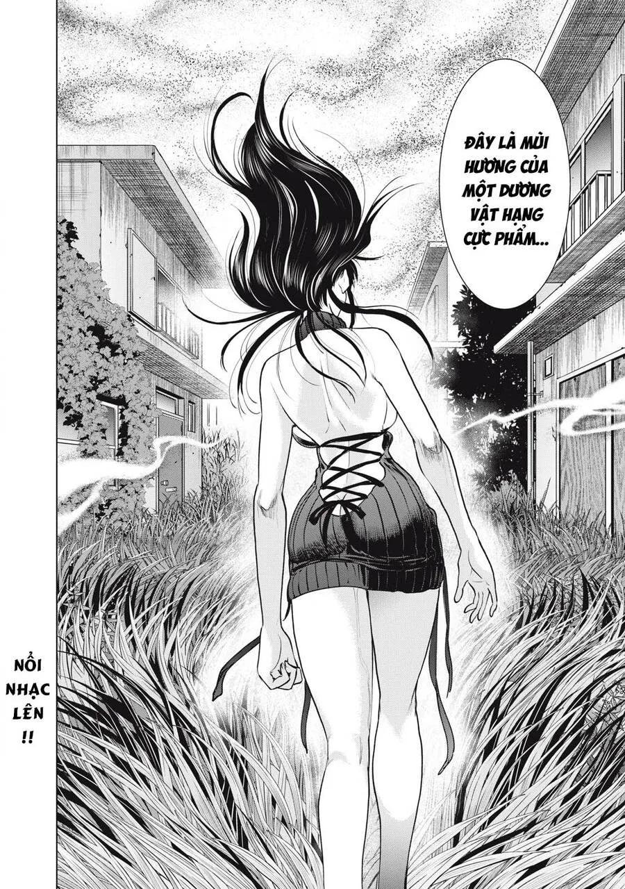 HentaiVN.net - Ảnh 20 - Satanophany - Chap 251